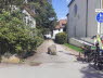 Katholische Kirche